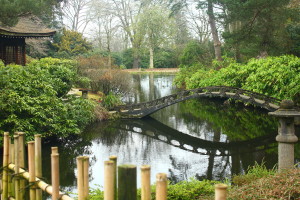 Japanese Garden picture by Elisa Artesero