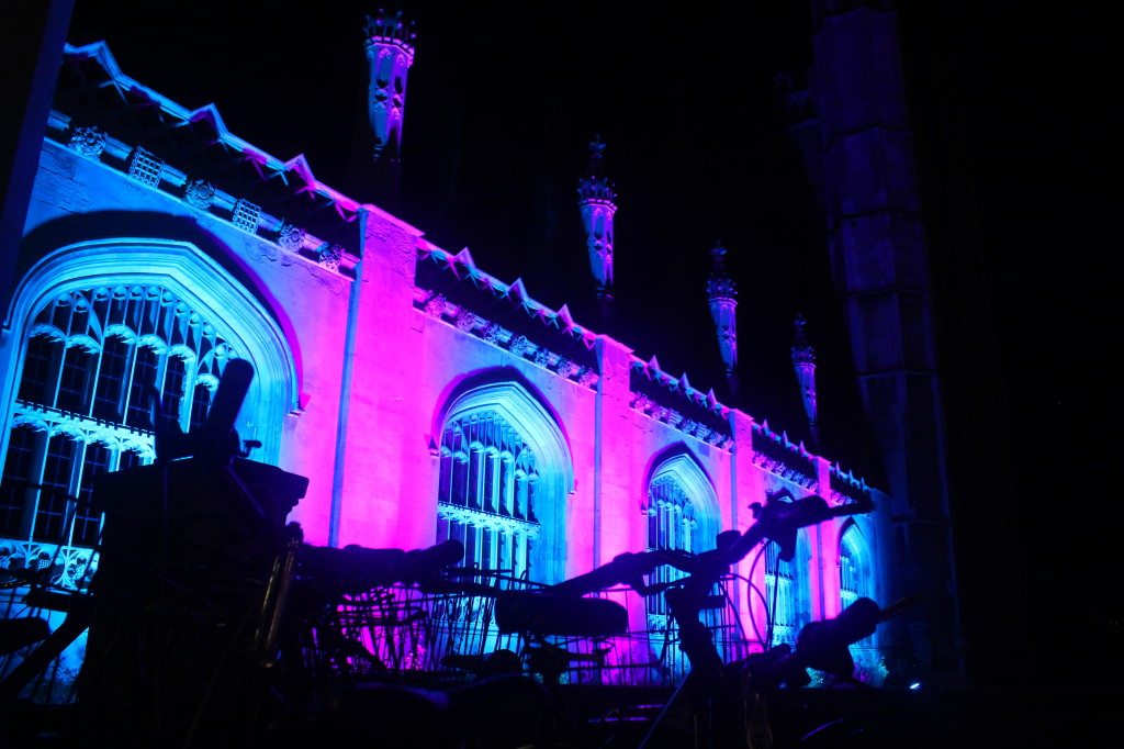 'Colour Shift' at e-Luminate. Picture by Elisa Artesero