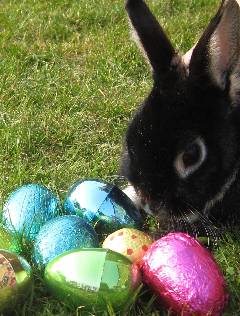 Easter Bunny by Flickr user somewhereintheworldtoday