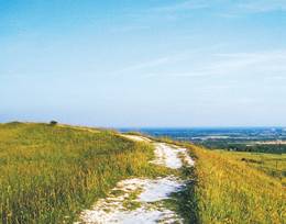 Sussex, the South Downs