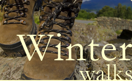 Winter walks