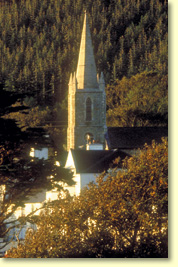 giants causeway northern Irish coast