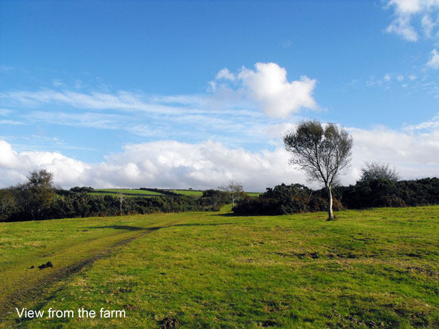 photo of Holiday cottage in Parracombe, Exmoor with 3 stars, sleeps 2
